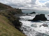 Tidepooling Cove Tidepooling Cove